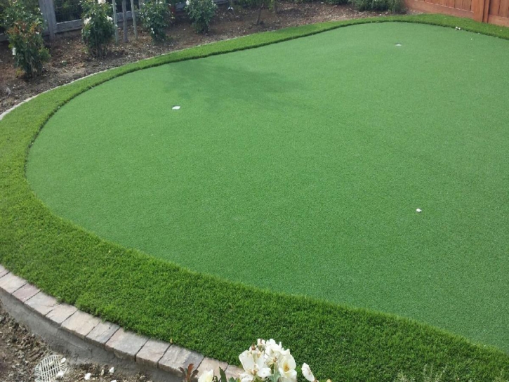 Artificial Turf Dillon, Colorado Landscaping Business, Backyard Landscape Ideas