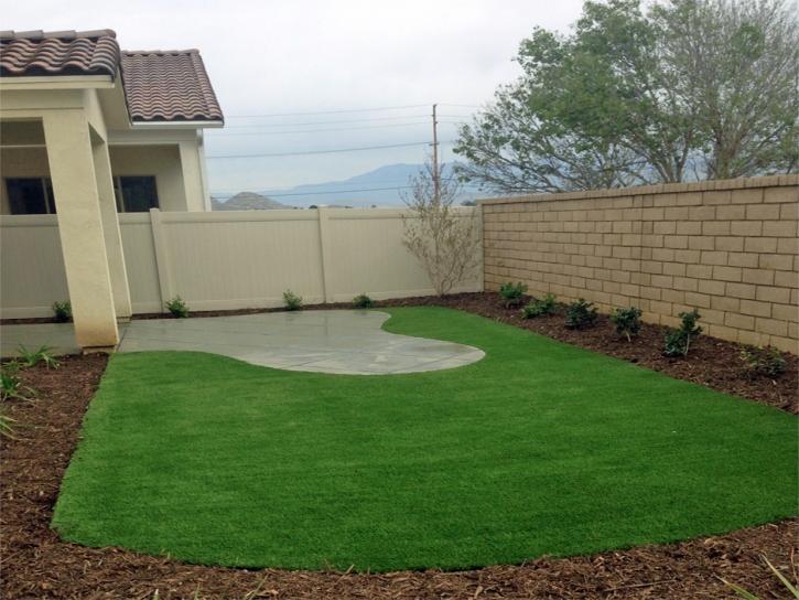 Artificial Turf Installation Oak Creek, Colorado Gardeners, Backyard Garden Ideas