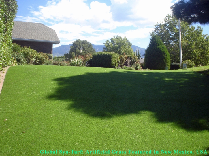 Artificial Turf Wheat Ridge, Colorado Lawn And Landscape, Backyard Garden Ideas