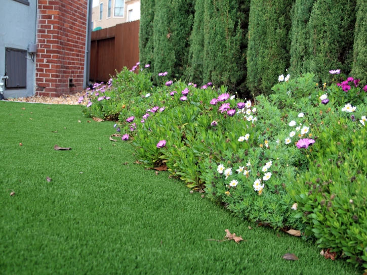 Best Artificial Grass Cascade-Chipita Park, Colorado Home And Garden, Front Yard Design