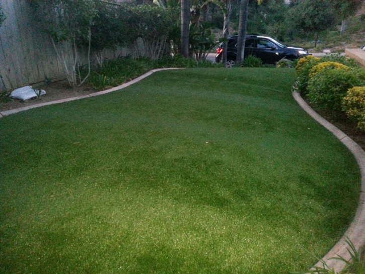 Best Artificial Grass Holly, Colorado Landscaping, Front Yard Landscaping