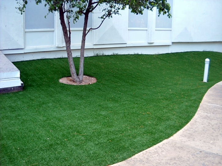 Best Artificial Grass La Veta, Colorado Landscape Ideas, Commercial Landscape
