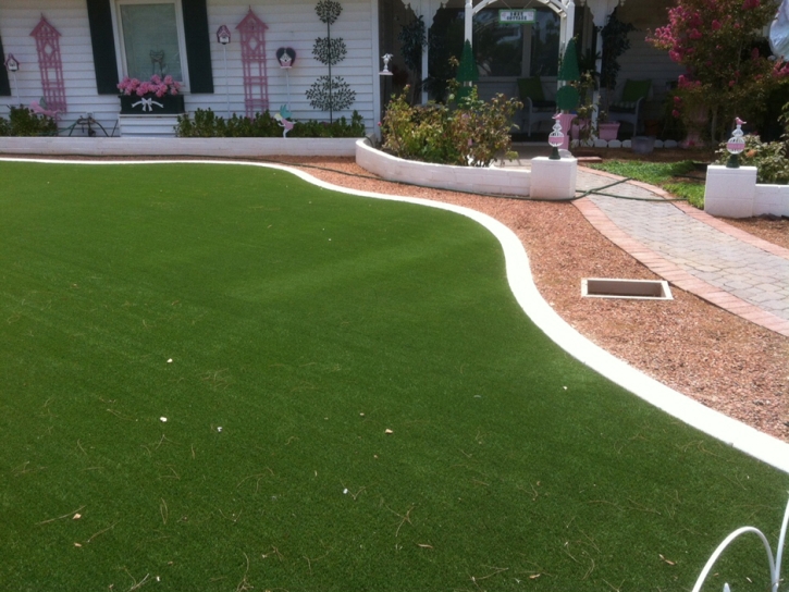 Best Artificial Grass Perry Park, Colorado Landscape Ideas, Front Yard
