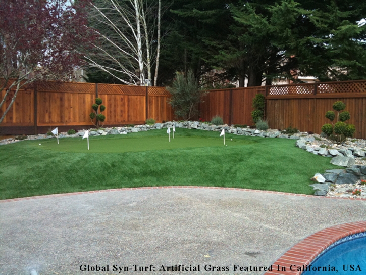 Best Artificial Grass Sherrelwood, Colorado Lawn And Garden, Backyard Garden Ideas