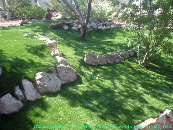 Fake Grass Carpet Commerce City, Colorado Landscape Design, Commercial Landscape