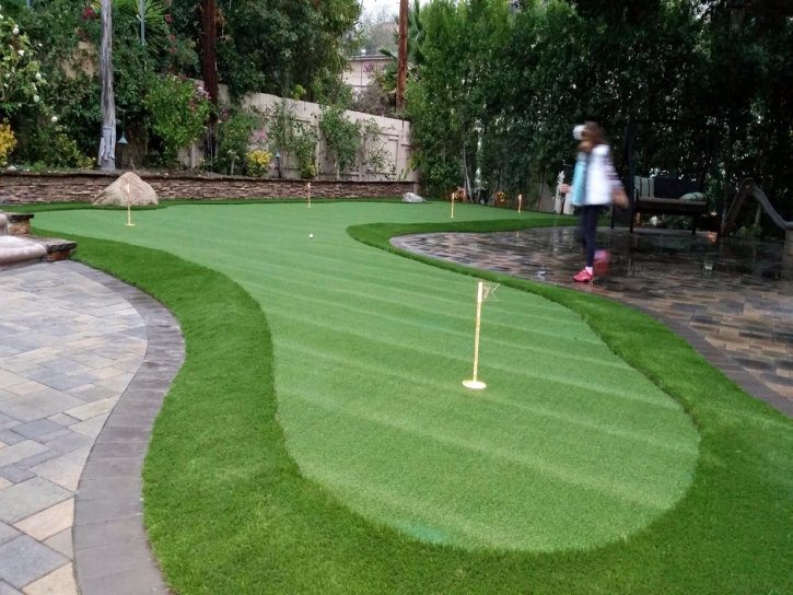 Fake Turf Lone Tree, Colorado Landscape Ideas, Backyard Design