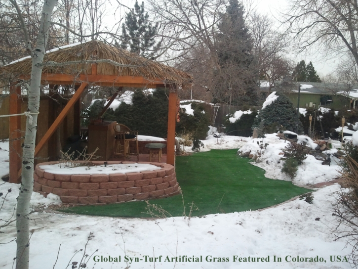 Faux Grass Bow Mar, Colorado Garden Ideas, Backyards
