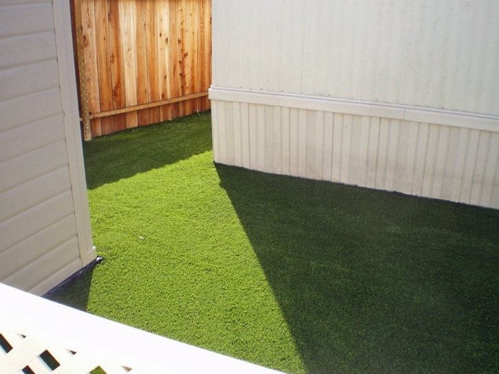 Faux Grass Gold Hill, Colorado Landscaping, Backyard Landscaping