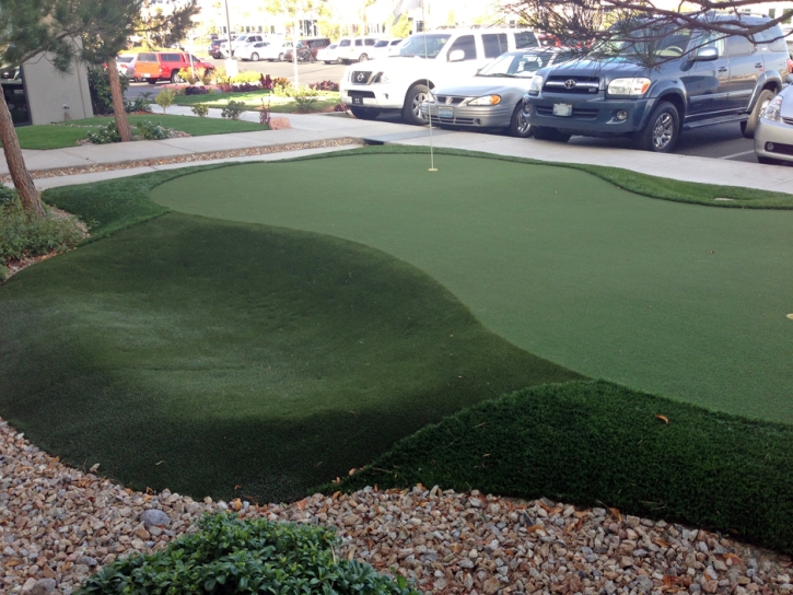 Faux Grass Paonia, Colorado Best Indoor Putting Green, Commercial Landscape
