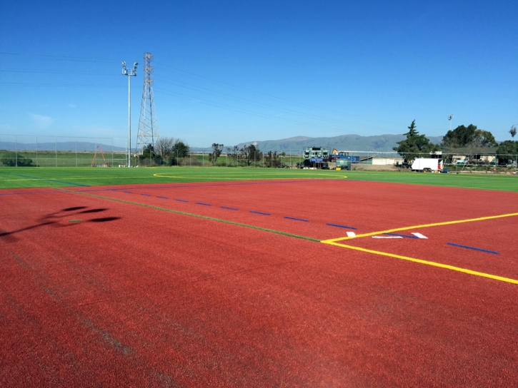 Grass Carpet Brookside, Colorado Soccer Fields