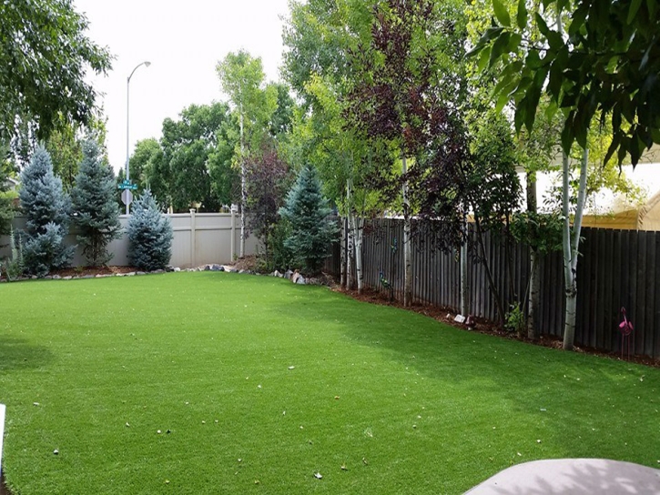 Grass Turf Grand Lake, Colorado Lawn And Landscape, Backyard