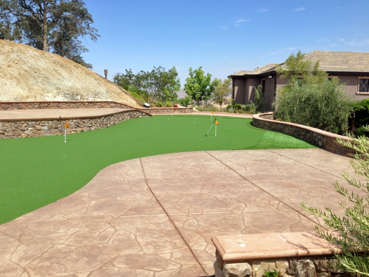 Green Lawn Lincoln Park, Colorado Putting Green Flags, Backyard Landscaping