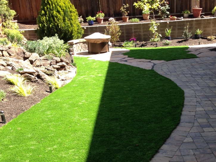 Outdoor Carpet Antonito, Colorado Lawns