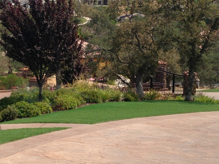 Outdoor Carpet Catherine, Colorado Landscape Rock, Backyard Landscaping Ideas