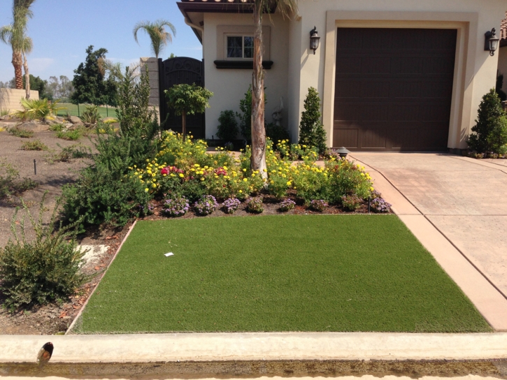 Outdoor Carpet Derby, Colorado Design Ideas, Front Yard Landscaping