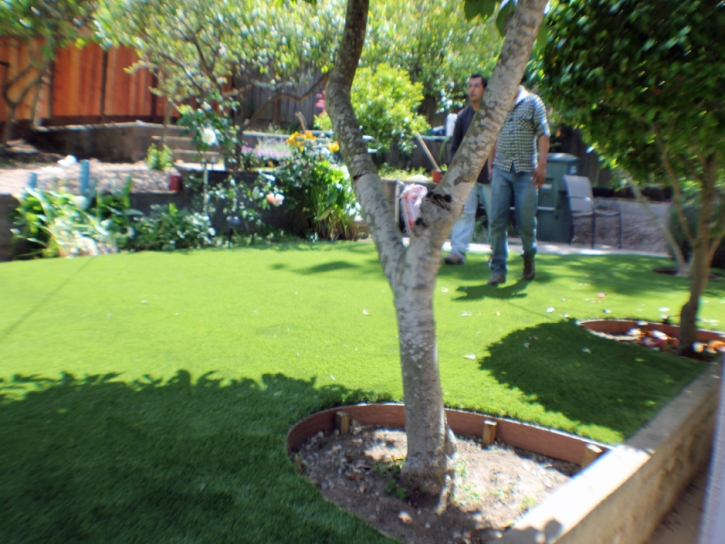 Outdoor Carpet Manzanola, Colorado Landscape Design, Backyard Landscape Ideas