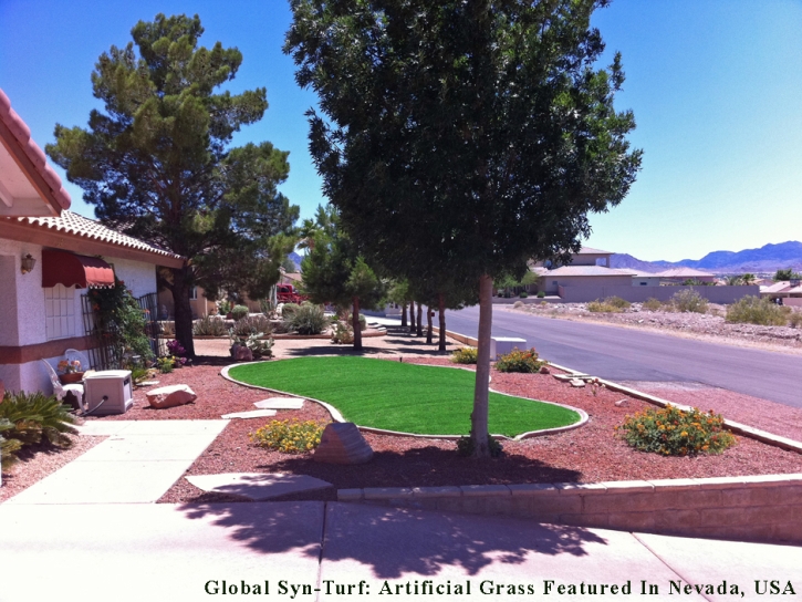 Outdoor Carpet North Washington, Colorado Landscaping Business, Landscaping Ideas For Front Yard