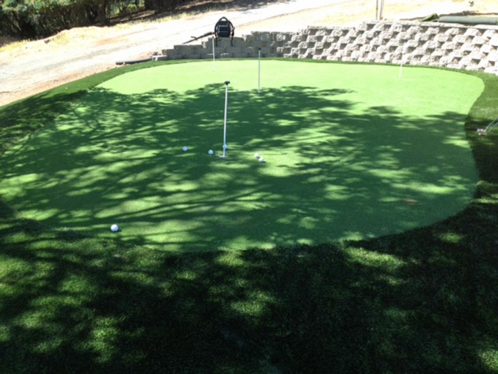 Plastic Grass Stonegate, Colorado Outdoor Putting Green, Backyard Landscaping