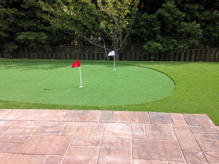 Synthetic Grass Cost Buena Vista, Colorado Putting Green Grass, Backyard Ideas