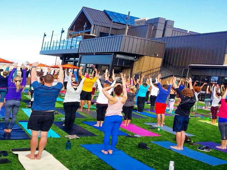 Synthetic Grass Cost Wiggins, Colorado Lawn And Landscape, Commercial Landscape