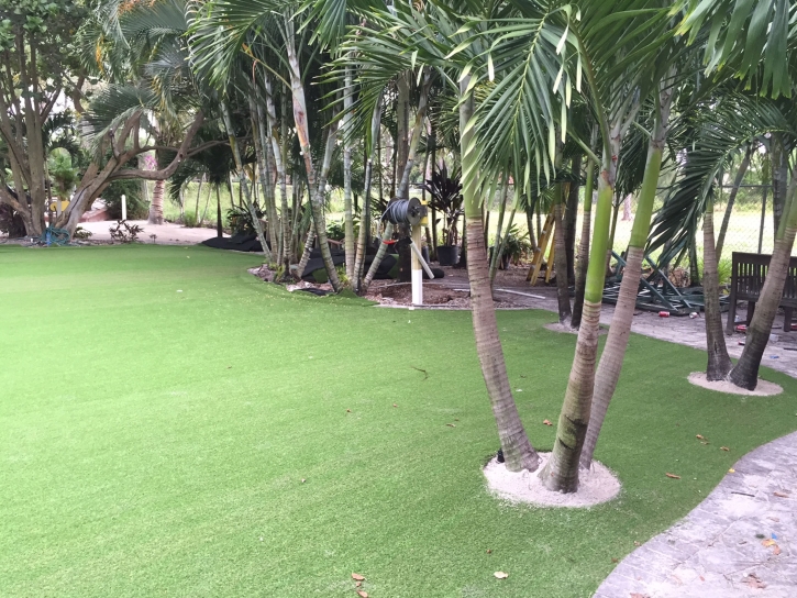 Synthetic Grass La Jara, Colorado Lawn And Landscape, Commercial Landscape