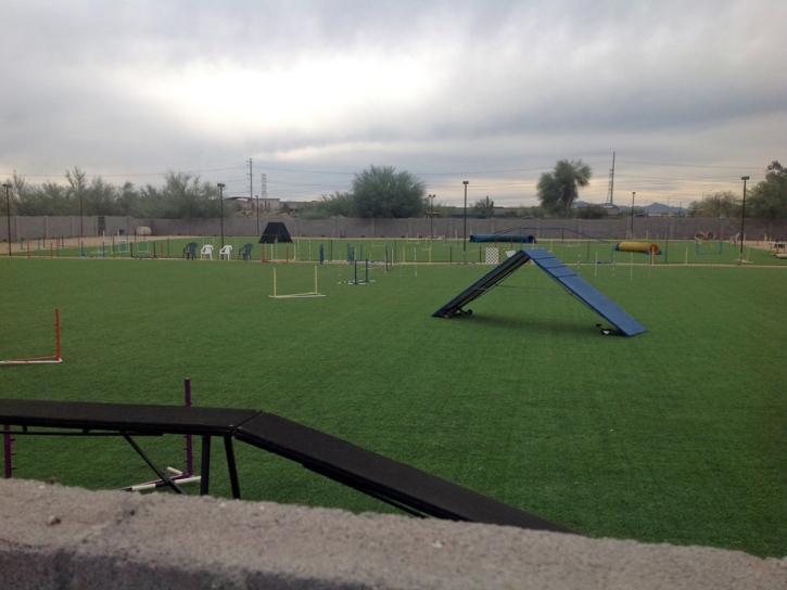 Synthetic Grass Lochbuie, Colorado Softball, Recreational Areas