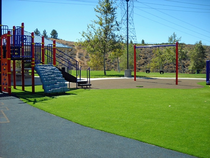 Synthetic Grass Morrison, Colorado Lawns, Parks