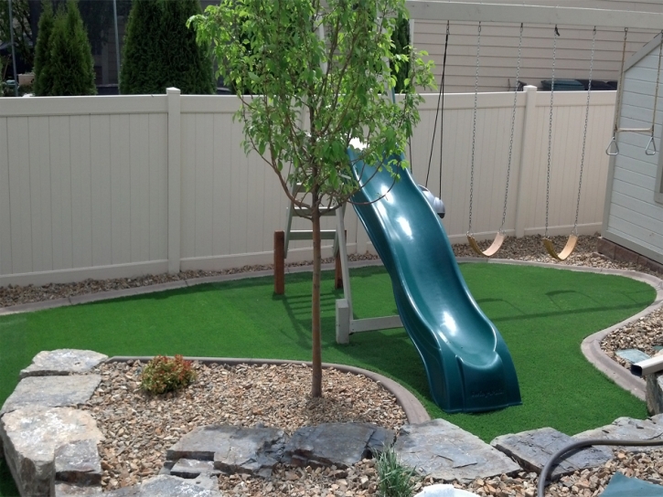 Synthetic Lawn Dotsero, Colorado Playground Turf, Backyard Ideas