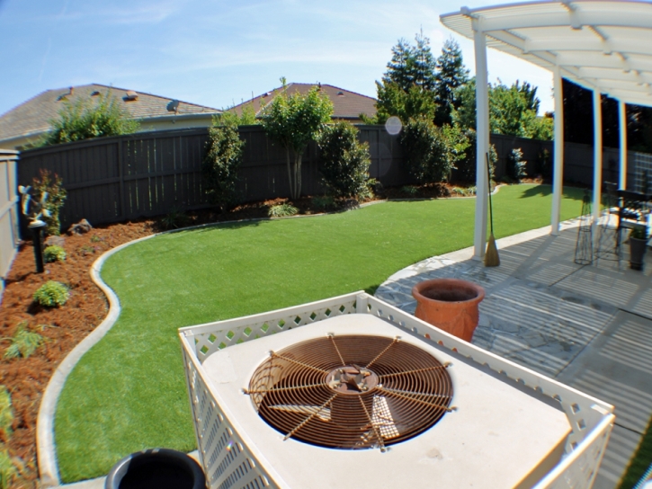 Synthetic Turf Supplier Sugar City, Colorado Landscaping, Backyard Ideas