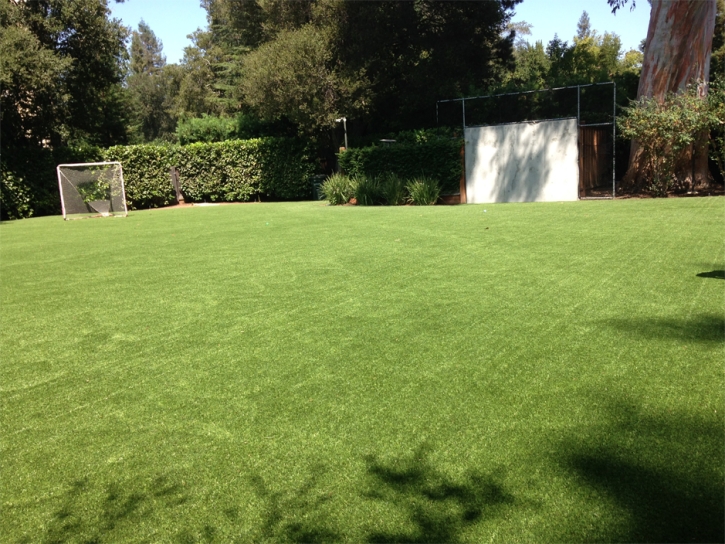 Turf Grass Avondale, Colorado Sports Turf, Backyard Ideas