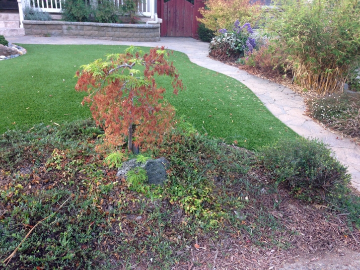 Turf Grass Denver, Colorado Landscaping, Front Yard